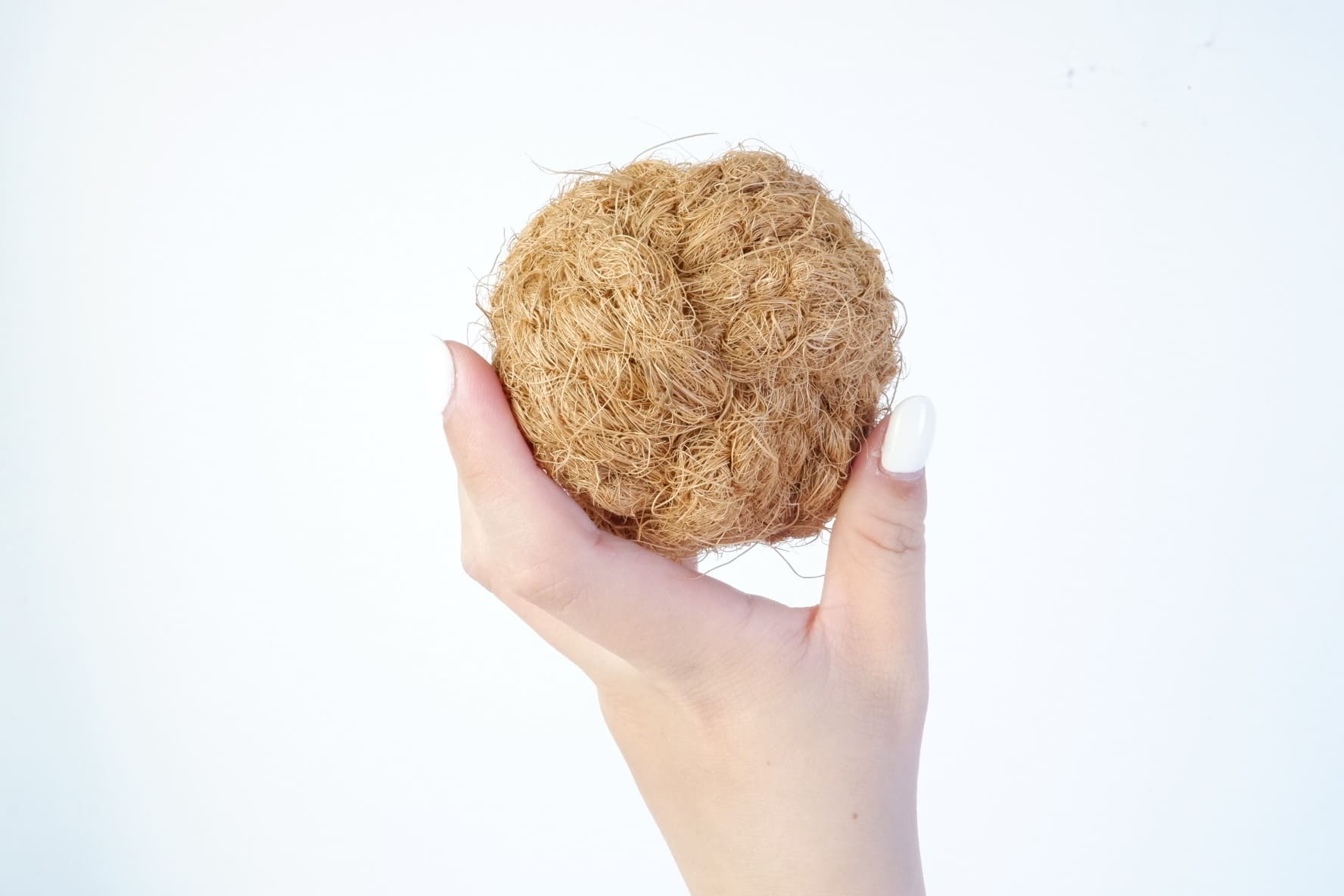 45EF697A-445F-43B4-AC50-A86C38113B64-12564-00000B9E3E85F0EE-1